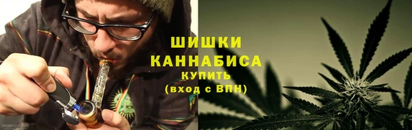 прущая мука Арсеньев
